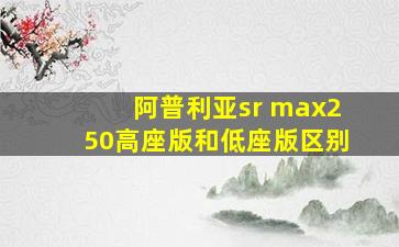 阿普利亚sr max250高座版和低座版区别